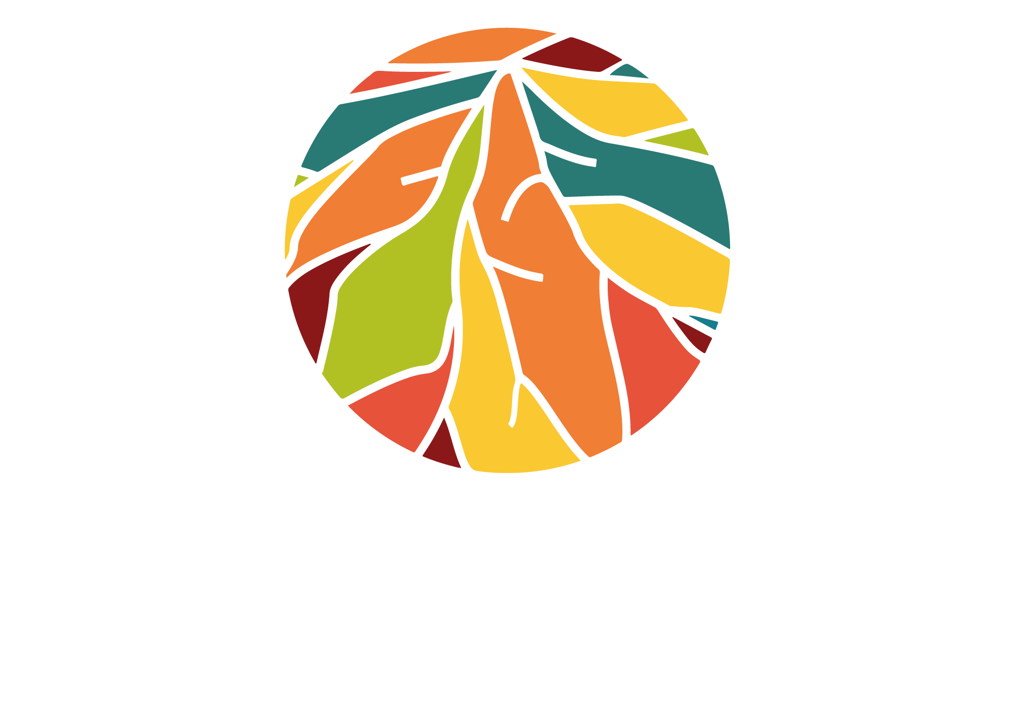 Logo Fundación Ofir Vida